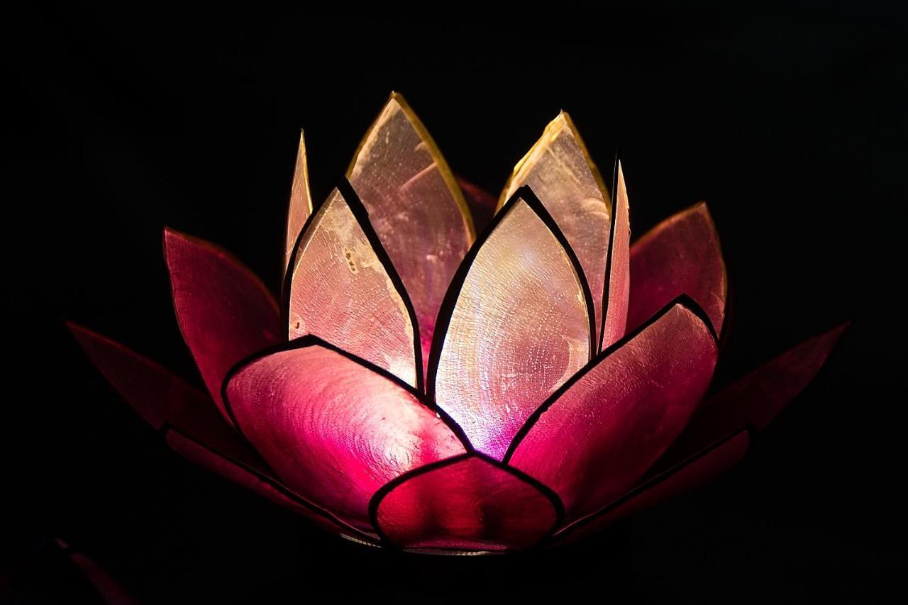 Pink Lotus Apartment Viyana Dış mekan fotoğraf